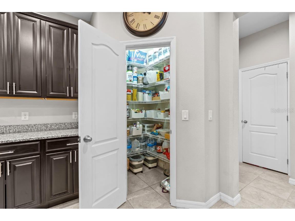 5955 Caldera Ridge Drive Lithia FL 33547 TB8403014 image35