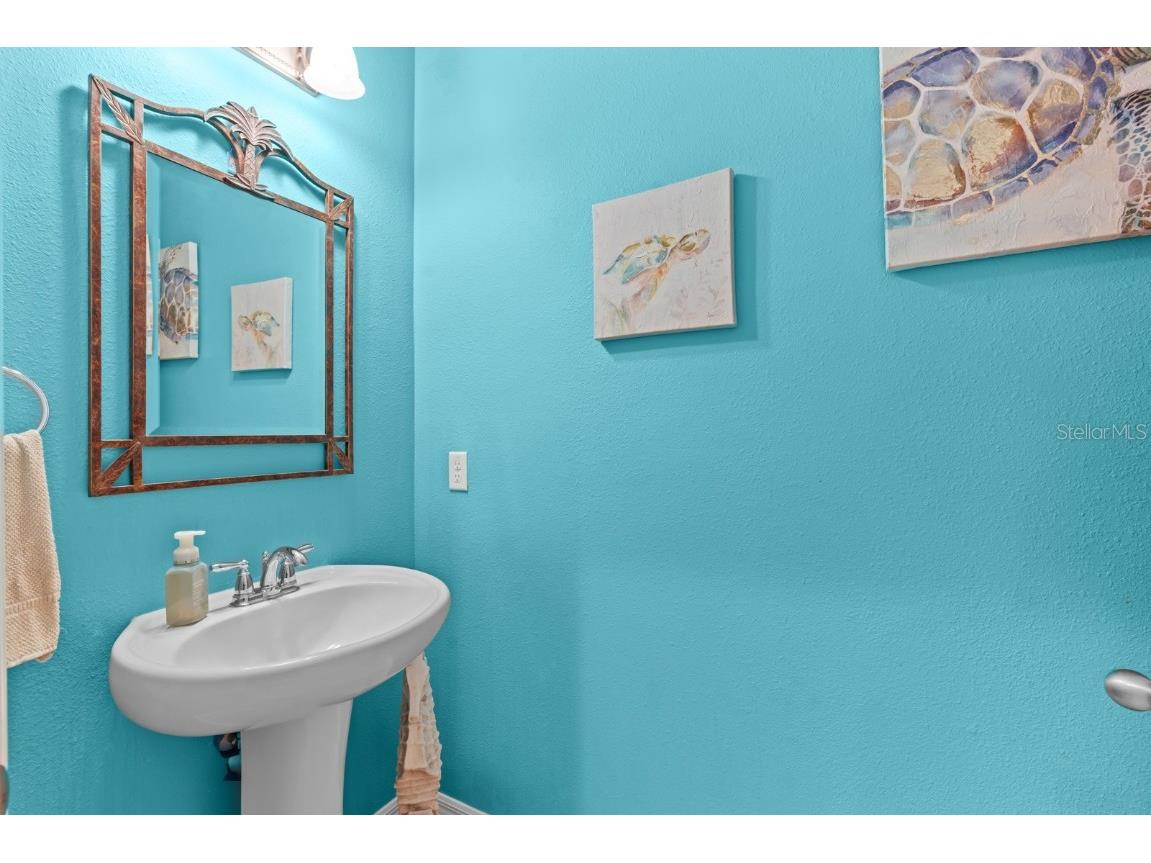 5955 Caldera Ridge Drive Lithia FL 33547 TB8403014 image37