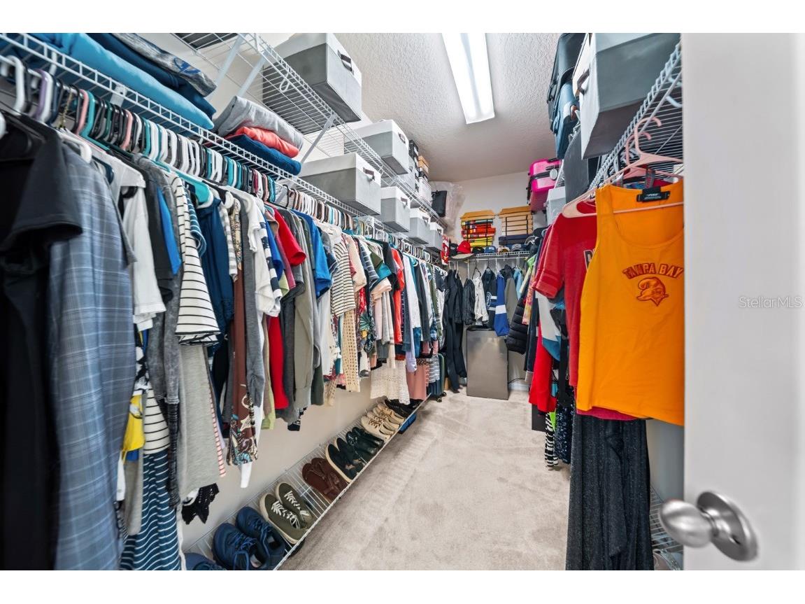 5955 Caldera Ridge Drive Lithia FL 33547 TB8403014 image61