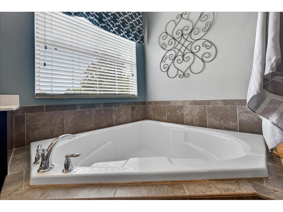 5955 Parkset Drive Lithia FL 33547 TB8515964 image45