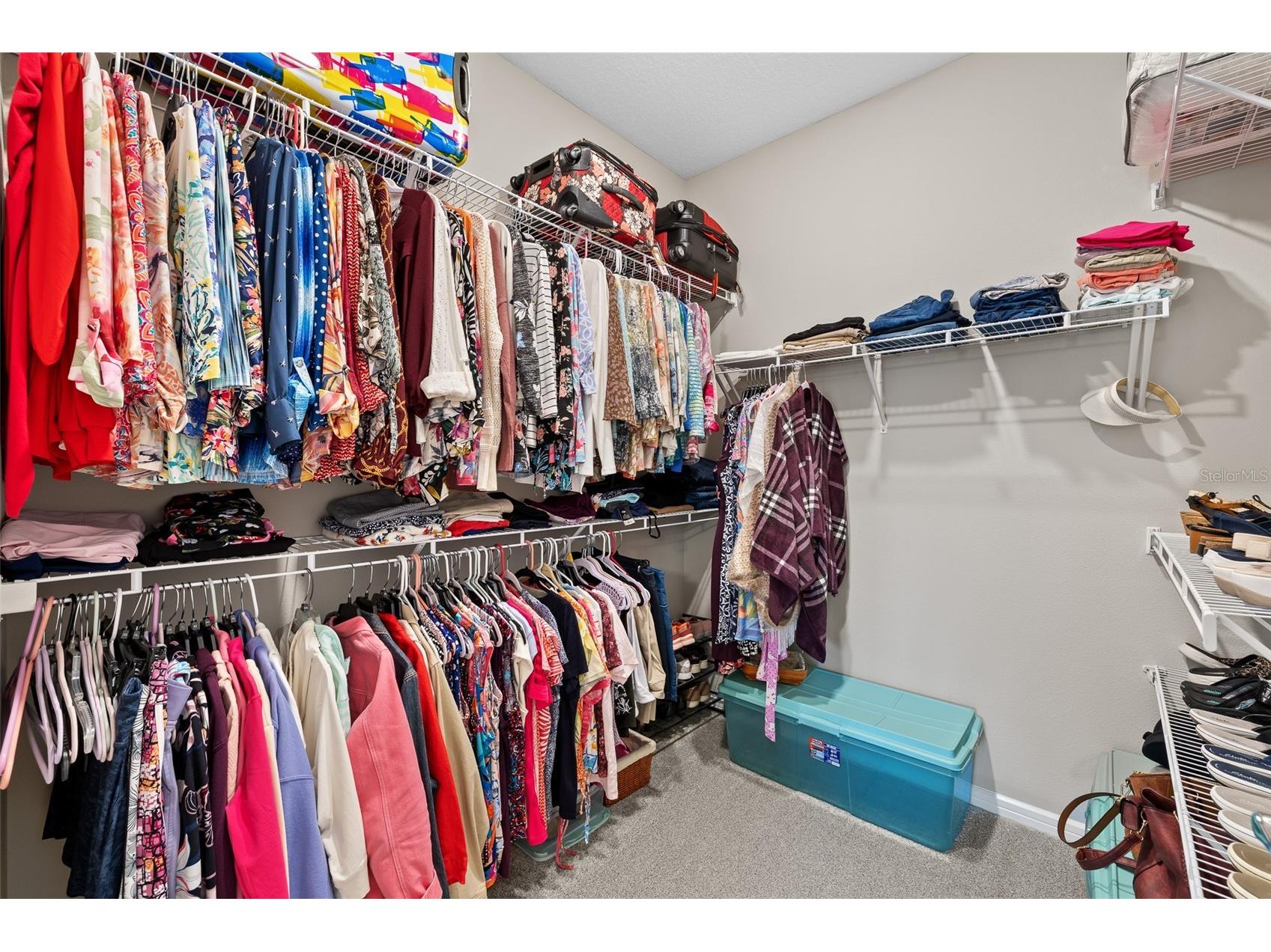 5957 Shorebird Branch Land O Lakes FL 34638 TB8474372 image23