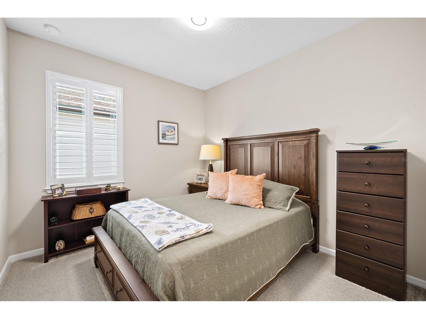 5957 Shorebird Branch Land O Lakes FL 34638 TB8474372 image25