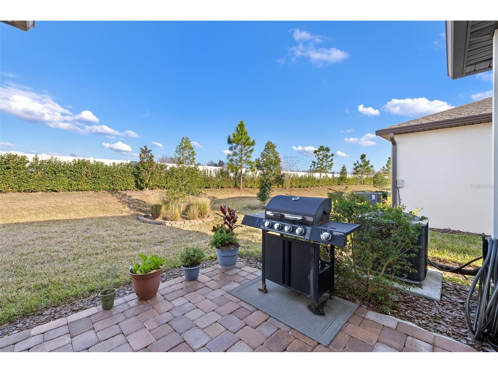 5957 Shorebird Branch Land O Lakes FL 34638 TB8474372 image30