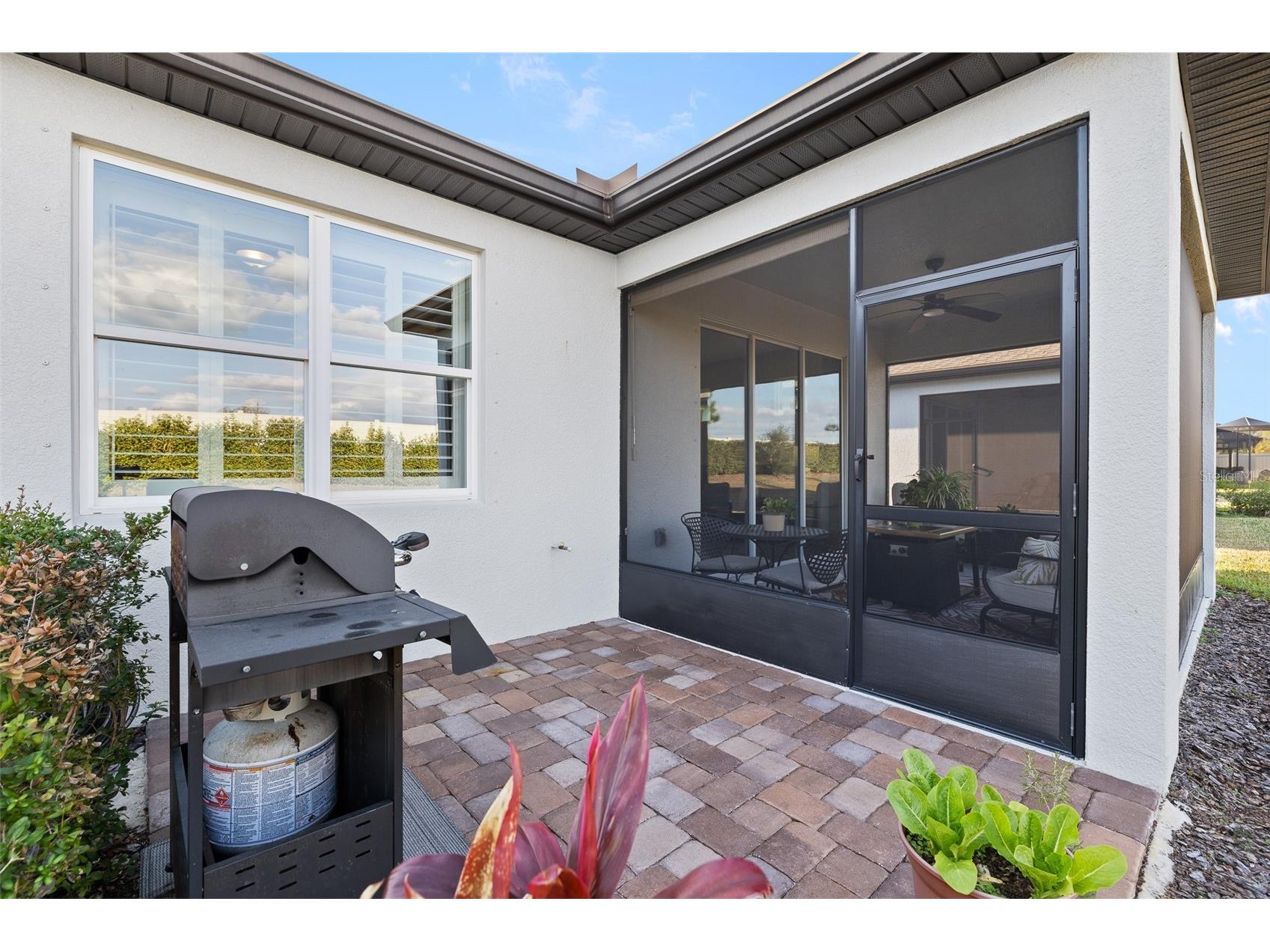 5957 Shorebird Branch Land O Lakes FL 34638 TB8474372 image31