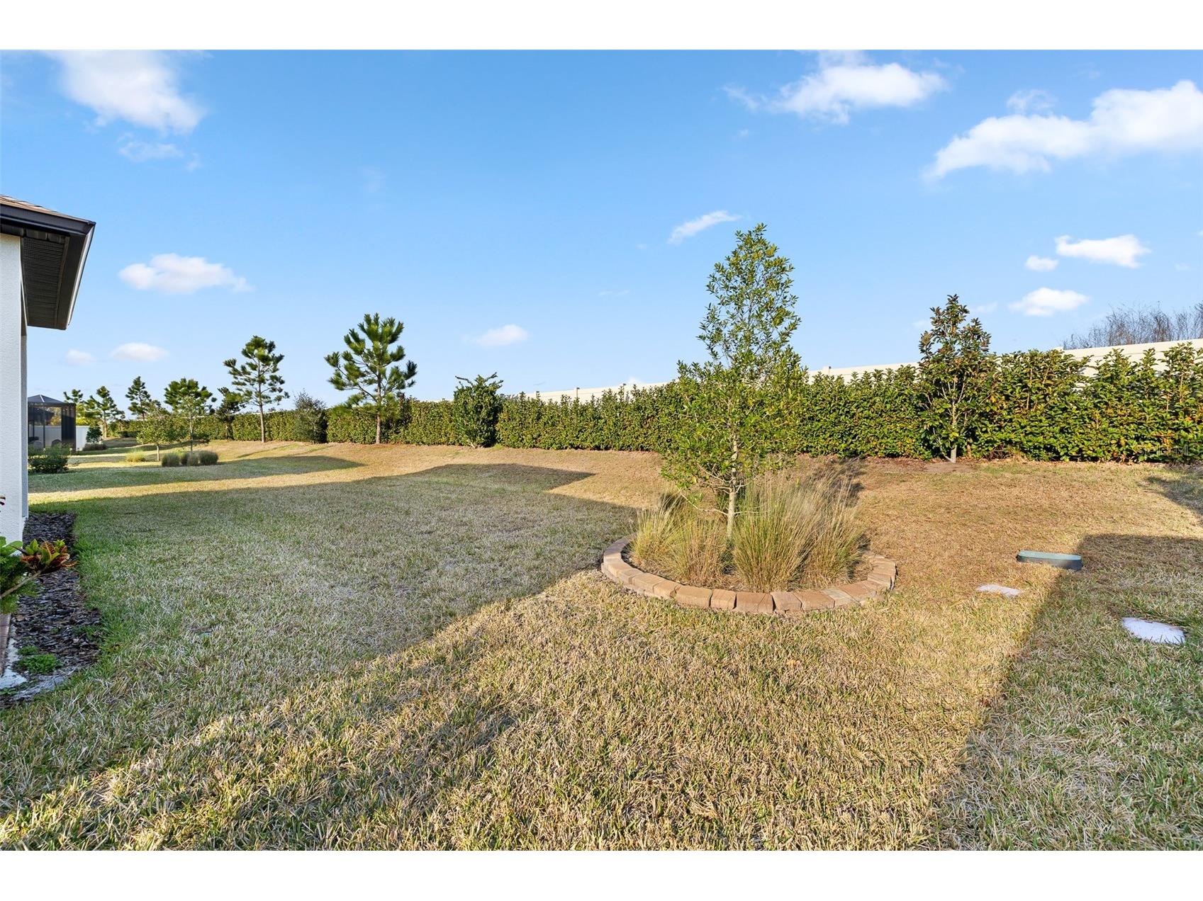 5957 Shorebird Branch Land O Lakes FL 34638 TB8474372 image32