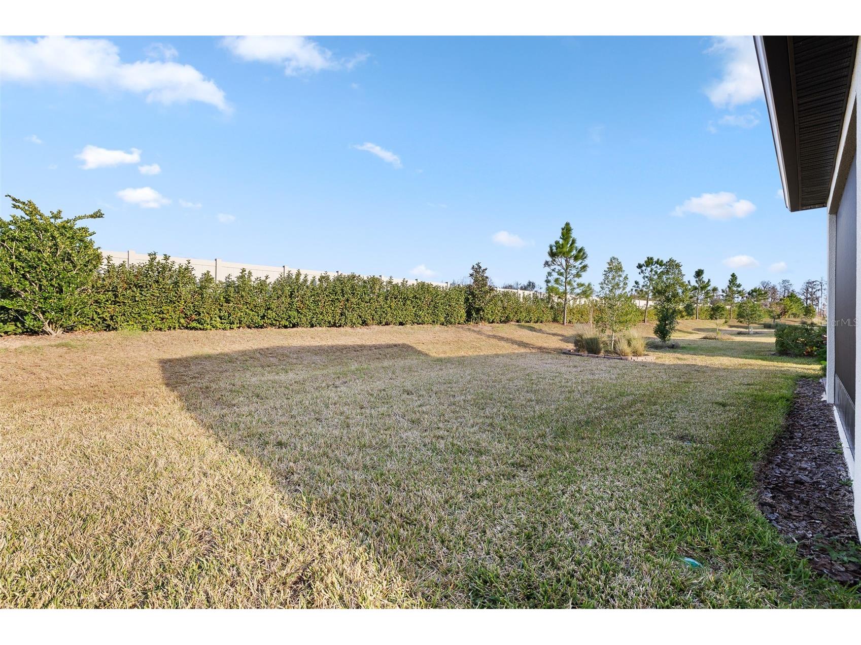 5957 Shorebird Branch Land O Lakes FL 34638 TB8474372 image33