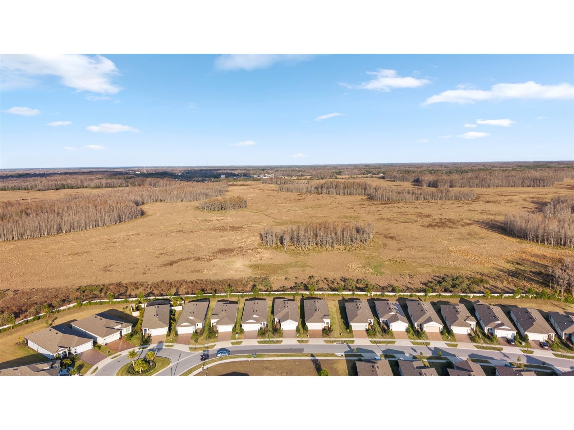 5957 Shorebird Branch Land O Lakes FL 34638 TB8474372 image49