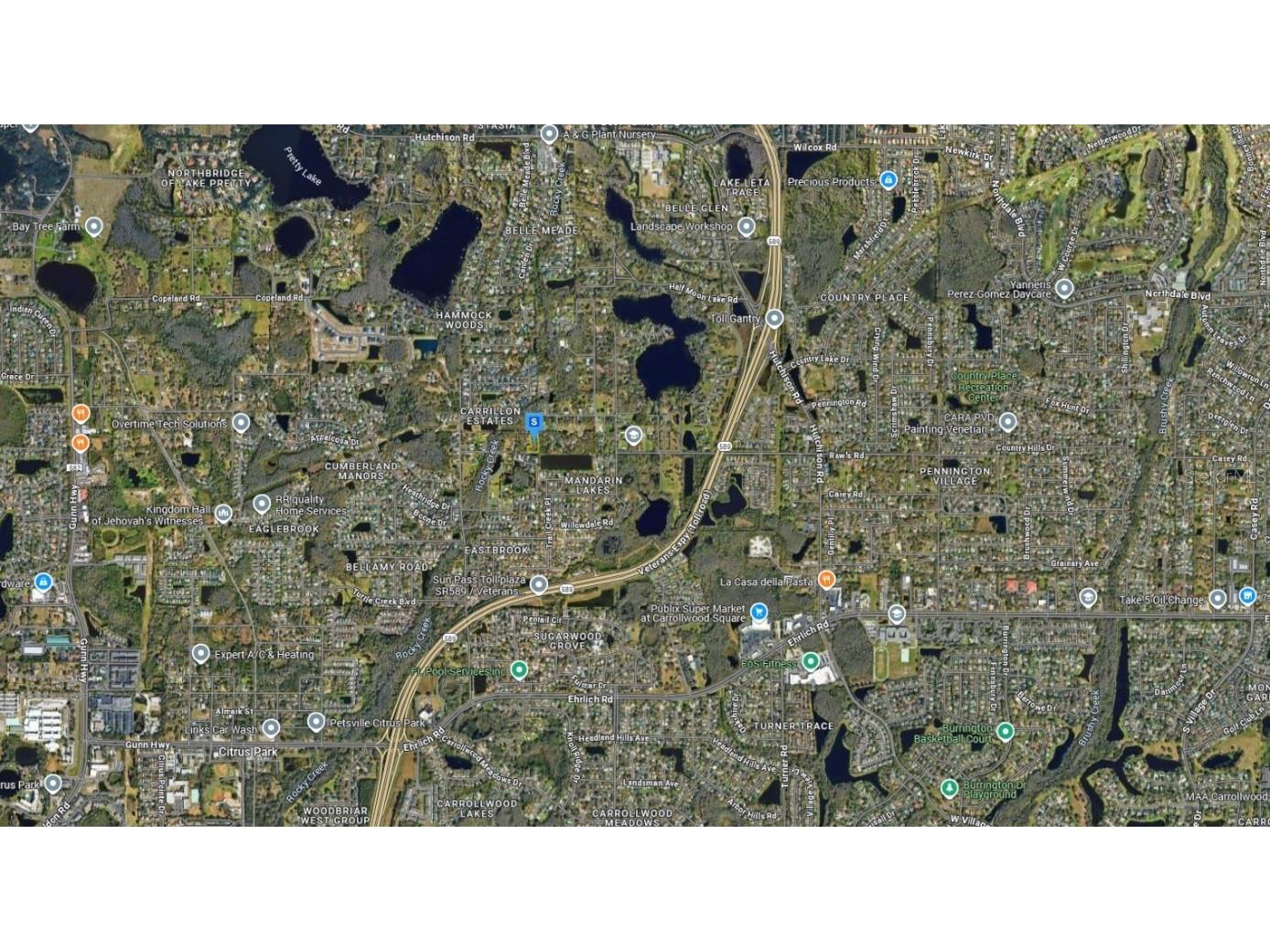 5958 Whippoorwill Drive Tampa FL 33625 A4677243 image3