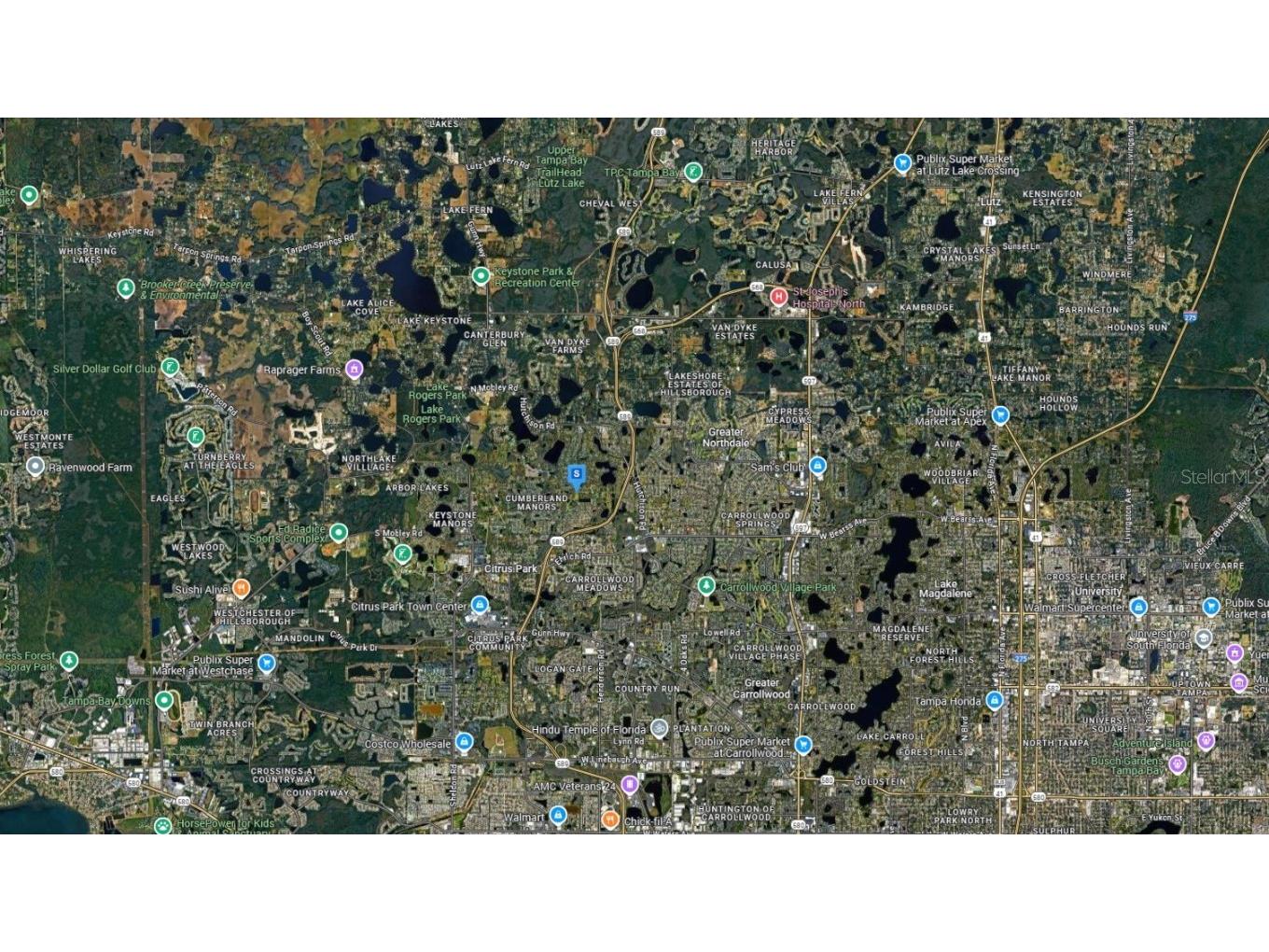 5958 Whippoorwill Drive Tampa FL 33625 A4677243 image4