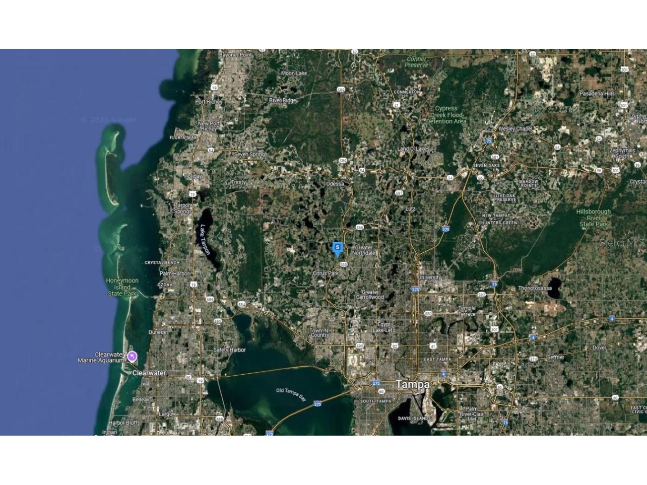 5958 Whippoorwill Drive Tampa FL 33625 A4677243 image5