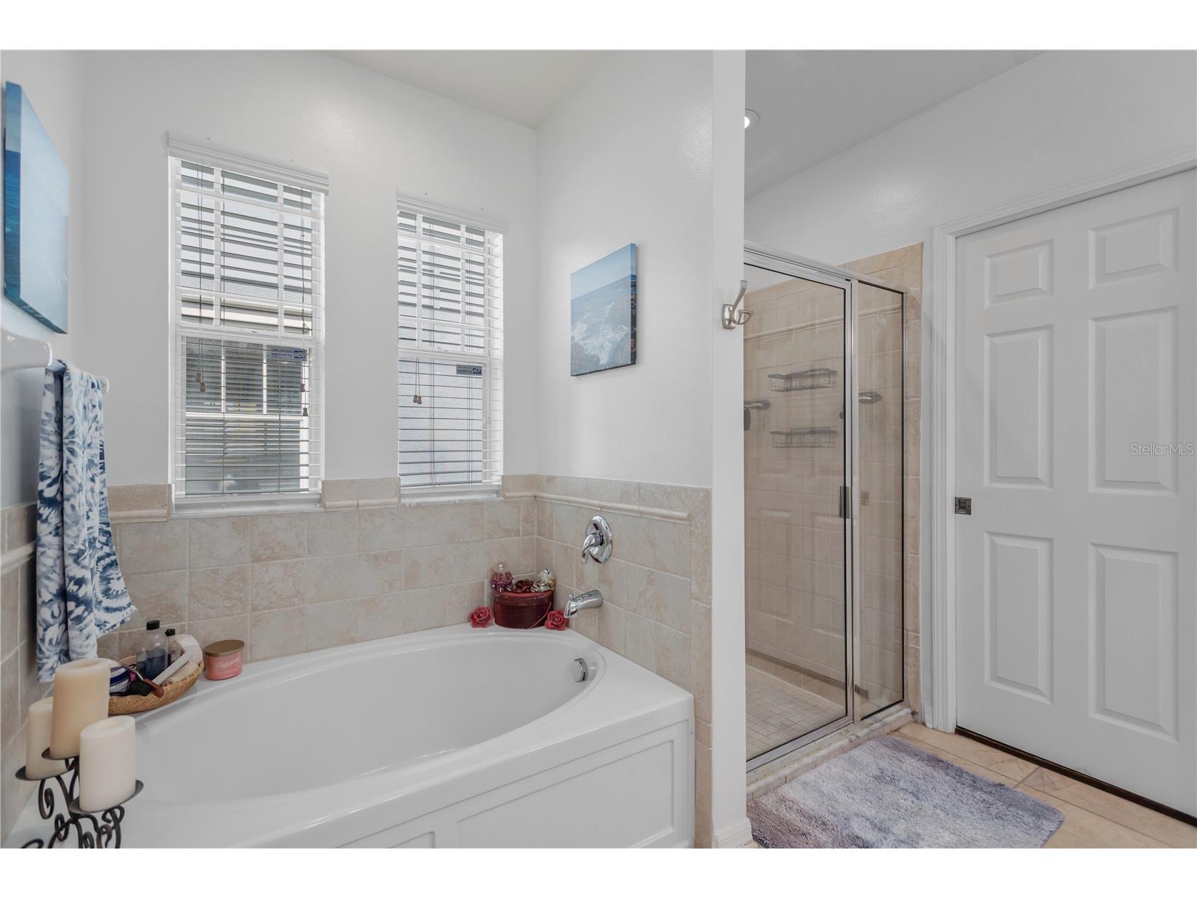 5959 Beaconpark Street Lithia FL 33547 C7525477 image17