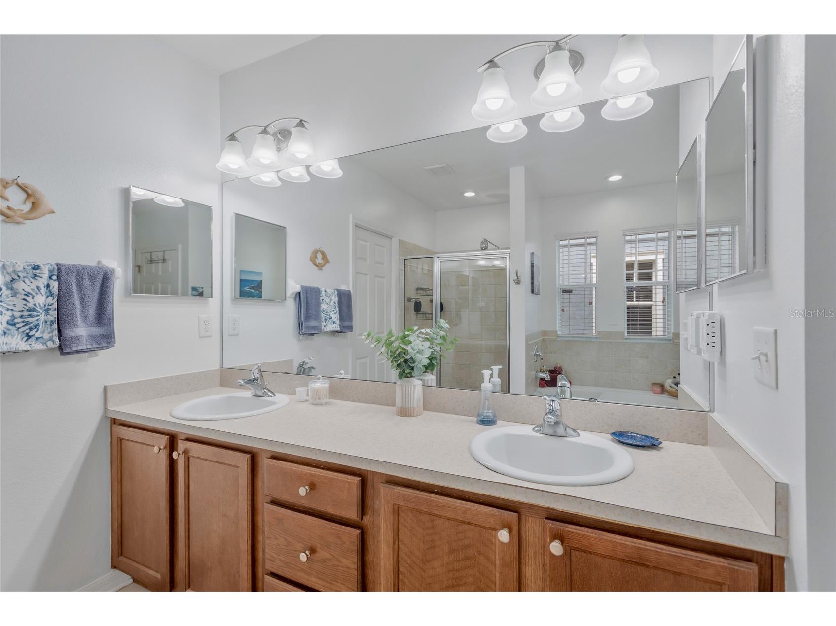 5959 Beaconpark Street Lithia FL 33547 C7525477 image18