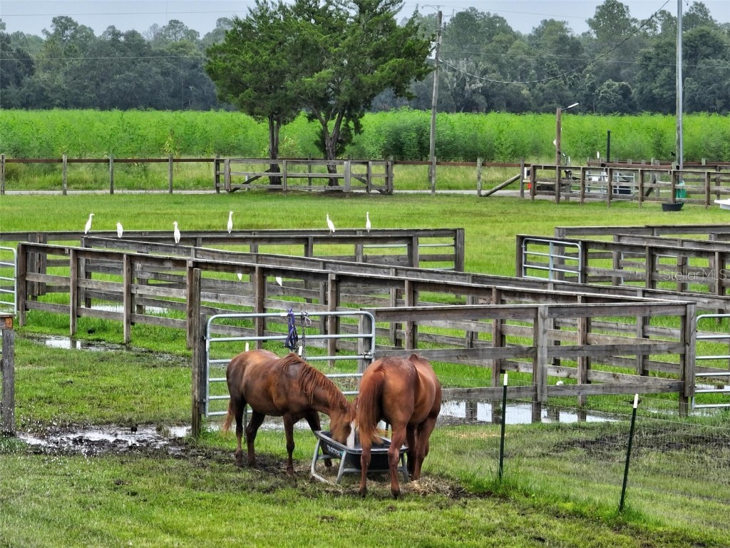 596 E County Road 90 Bunnell FL 32110 FC311474 image20