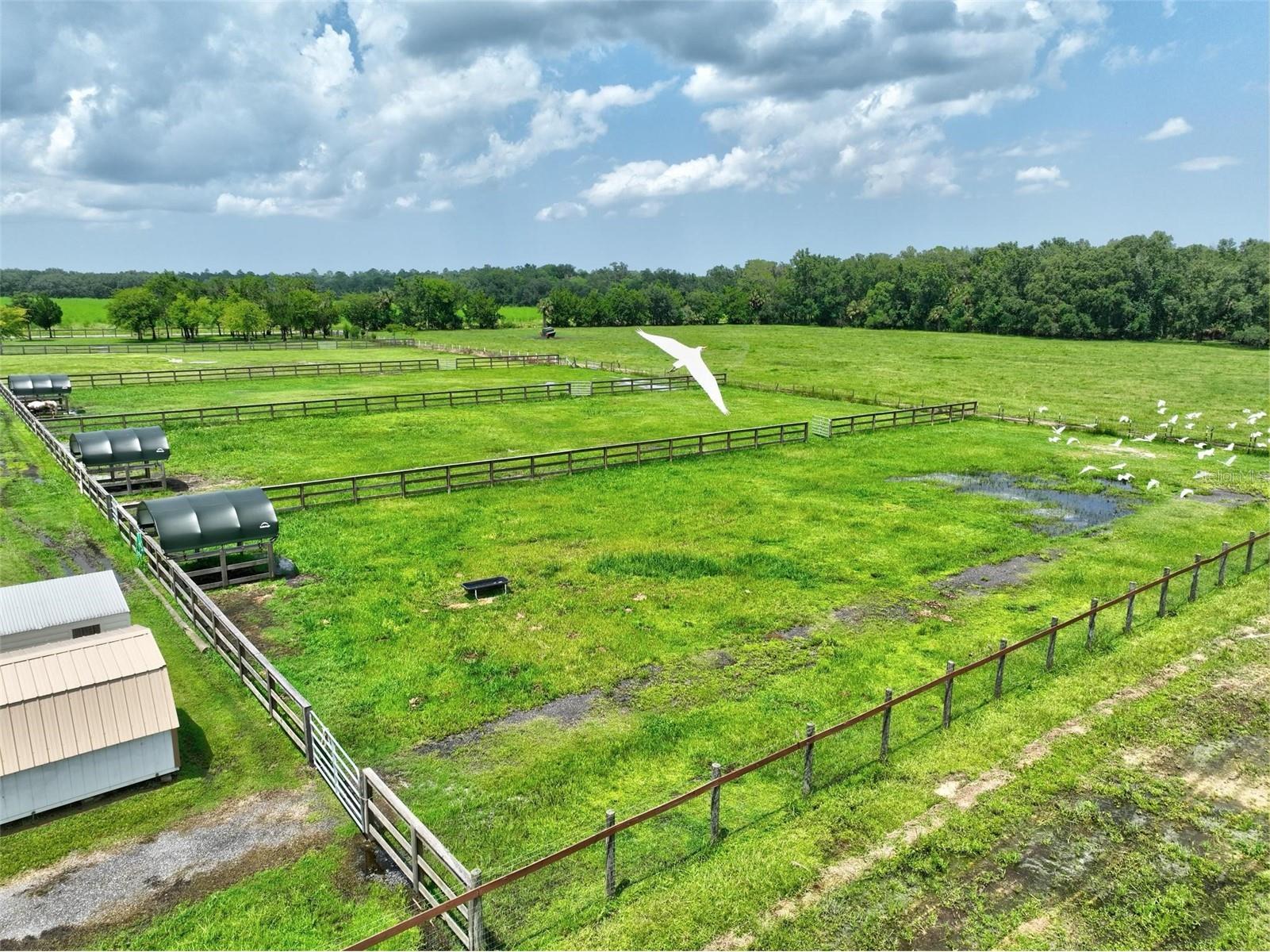 596 E County Road 90 Bunnell FL 32110 FC318585 image37