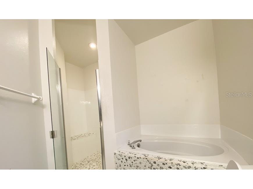 596 Neumann Village Court Ocoee FL 34761 R4909695 image21