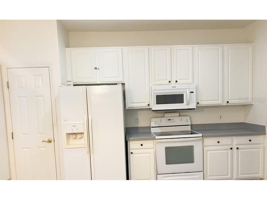 596 Neumann Village Court Ocoee FL 34761 R4909695 image8