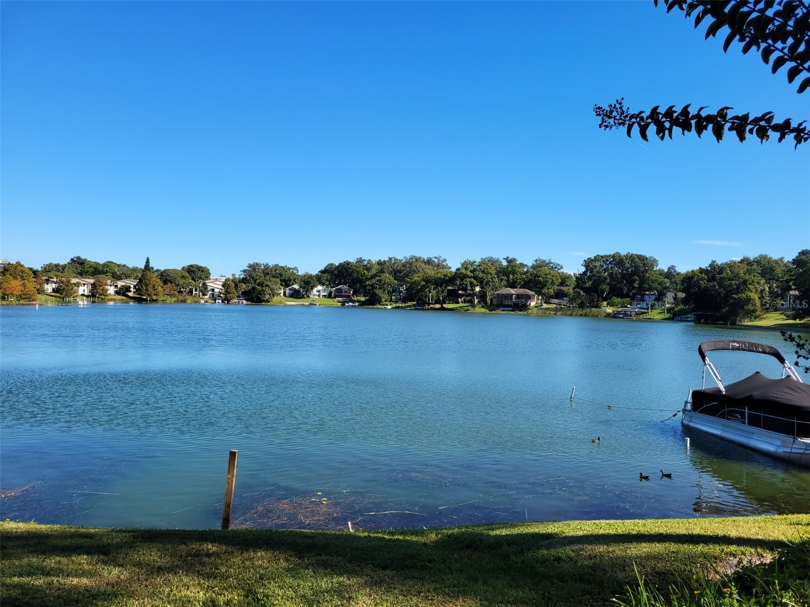 596 Orange Drive #150 Altamonte Springs FL 32701 - LAKE ORIENTA O6405561 image36