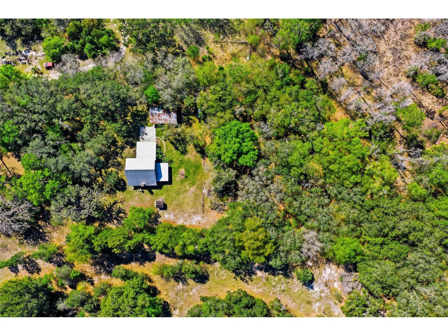 596 State Road 20 Palatka FL 32177 OM720523 image18