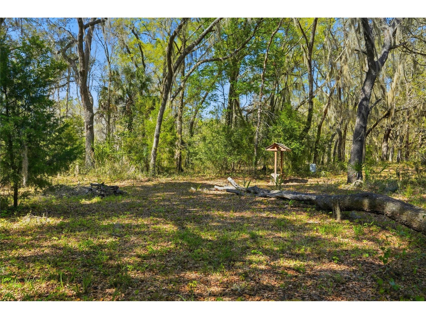 596 State Road 20 Palatka FL 32177 OM720523 image21