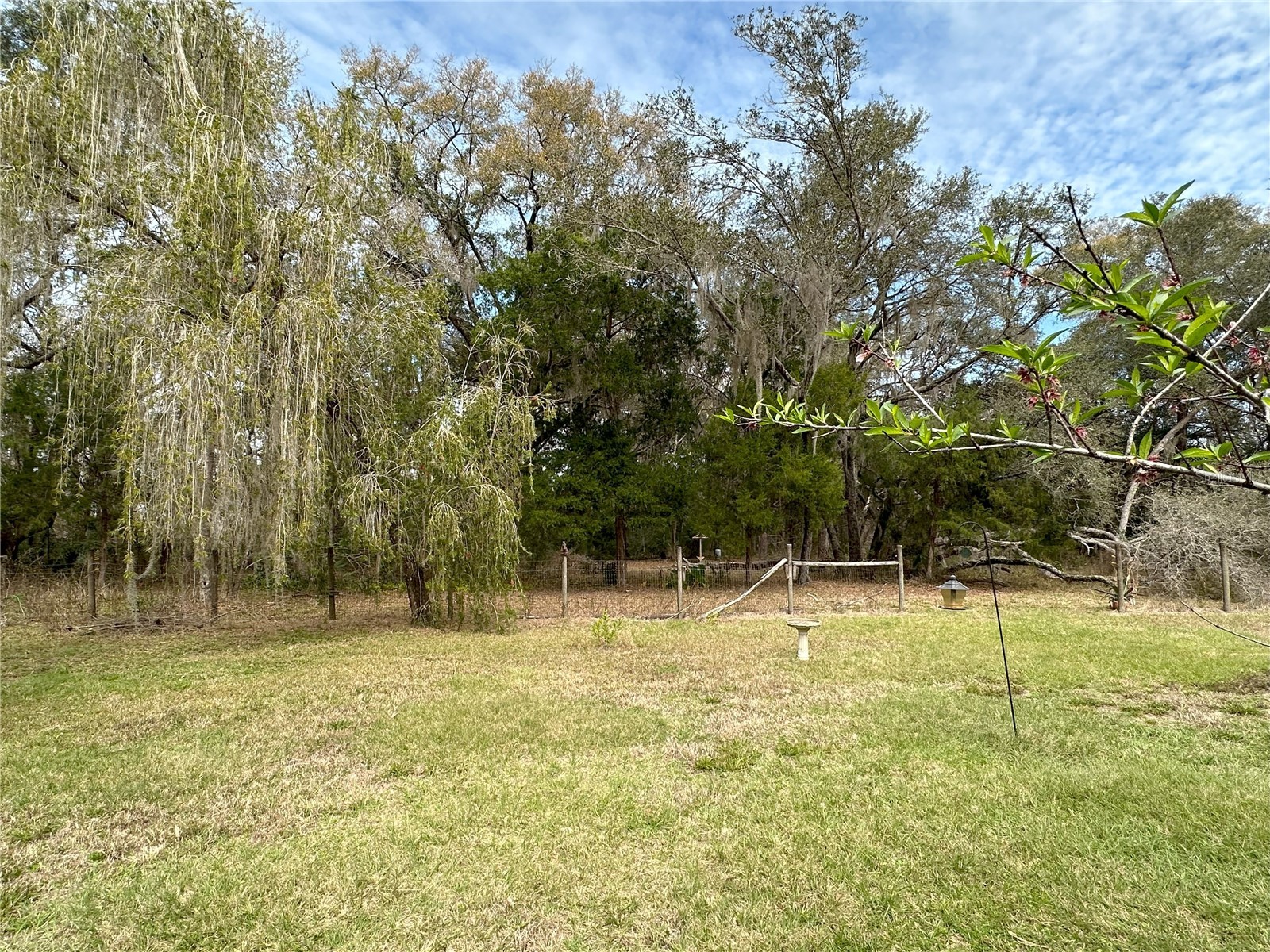 596 State Road 20 Palatka FL 32177 OM720523 image22
