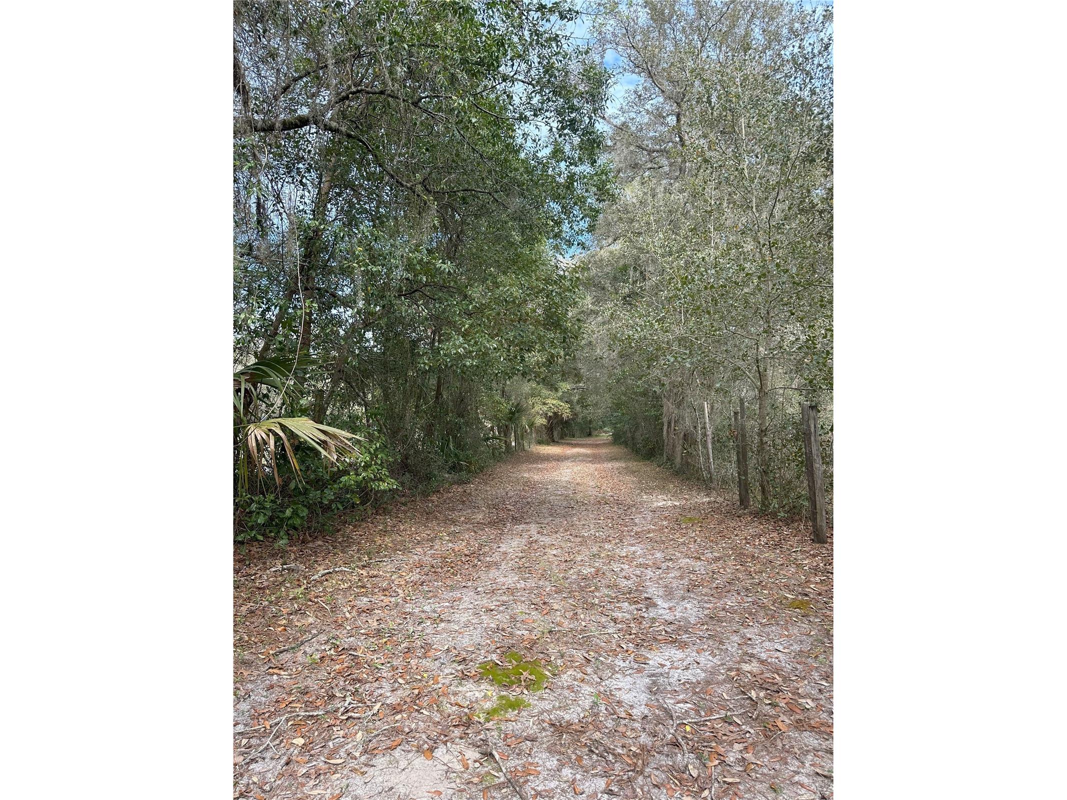 596 State Road 20 Palatka FL 32177 OM720523 image23