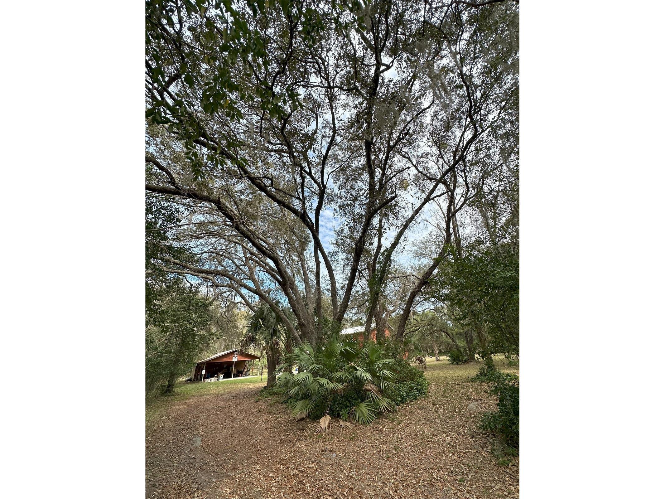 596 State Road 20 Palatka FL 32177 OM720523 image24
