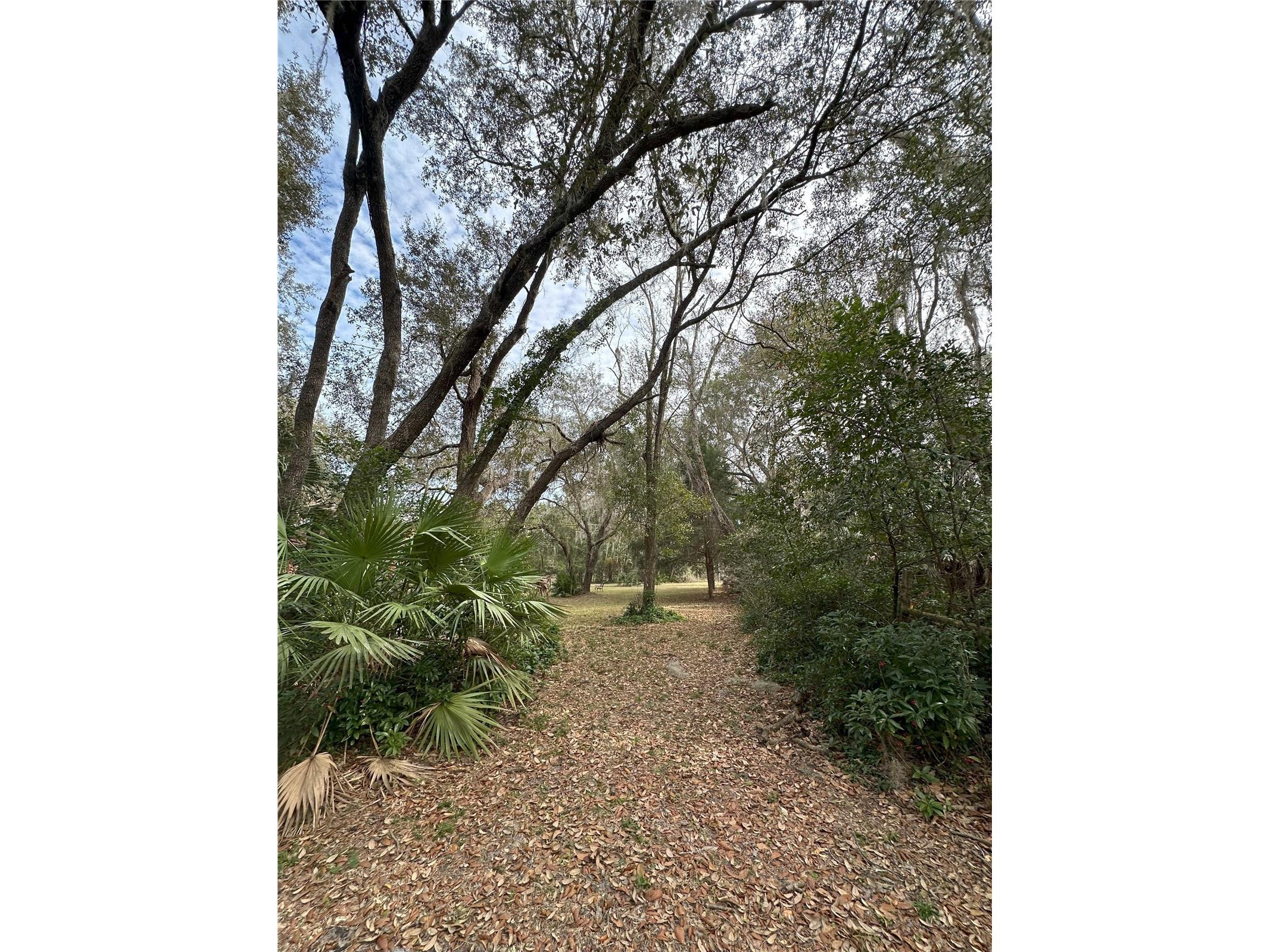 596 State Road 20 Palatka FL 32177 OM720523 image25