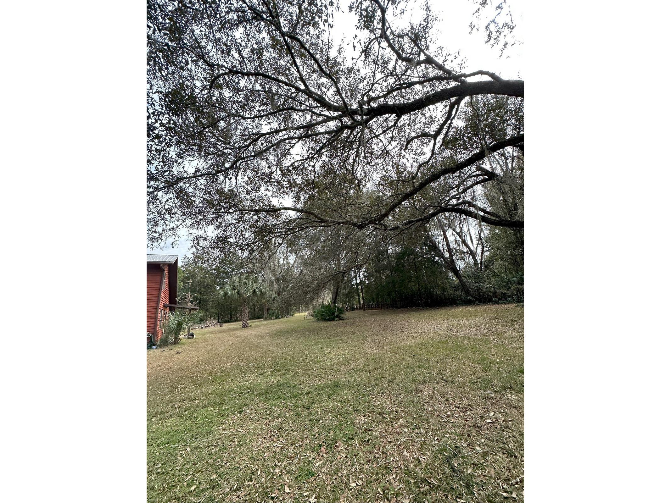 596 State Road 20 Palatka FL 32177 OM720523 image26