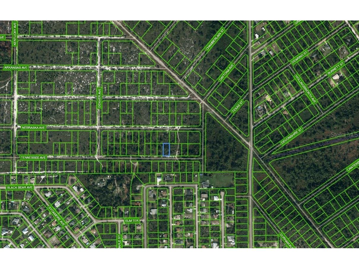 596 Tennessee Avenue Lake Placid FL 33852 OM625671 image1