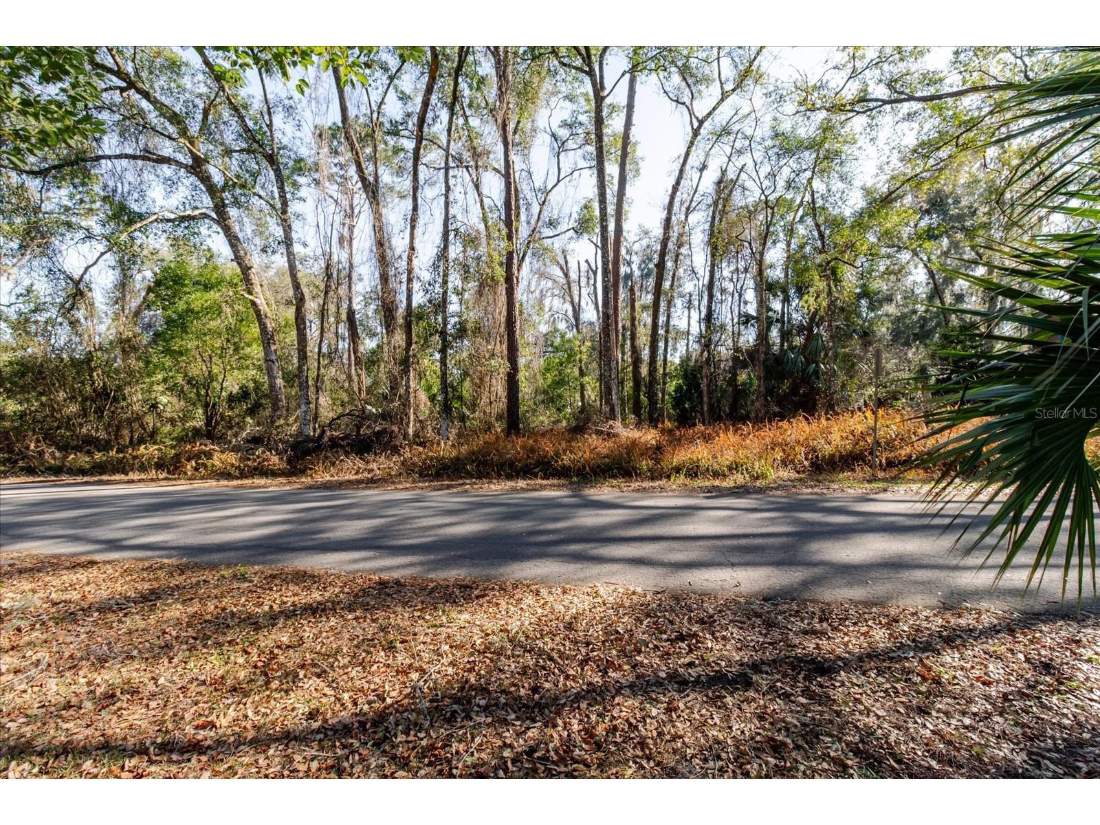 5960 E Vale Street Inverness FL 34452 TB8476501 image12