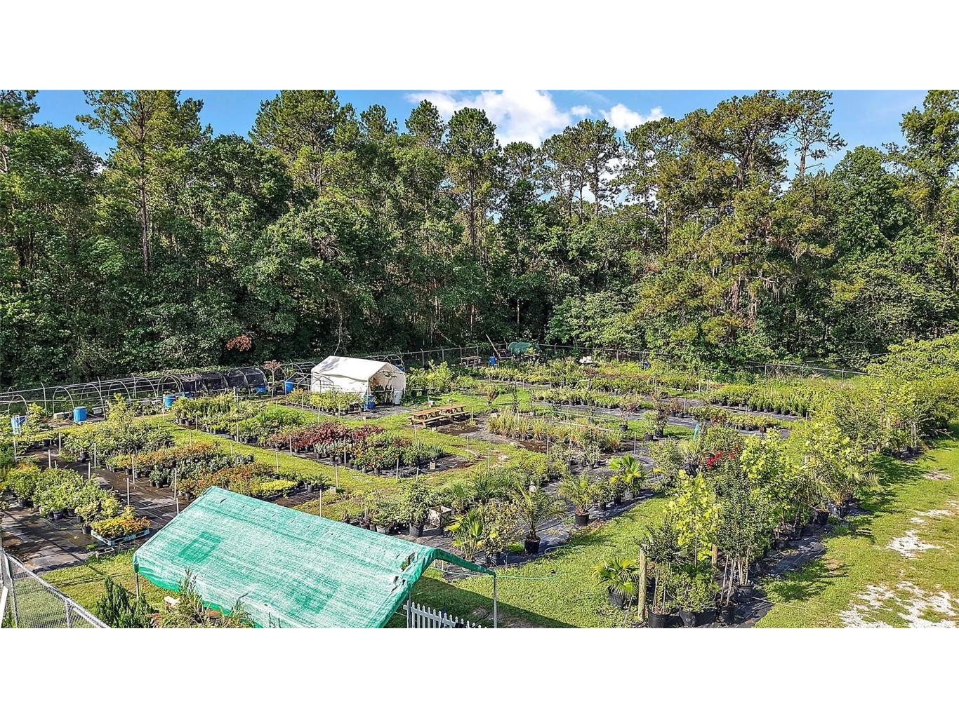 5960 S Pine Avenue Ocala FL 34480 OM702485 image25