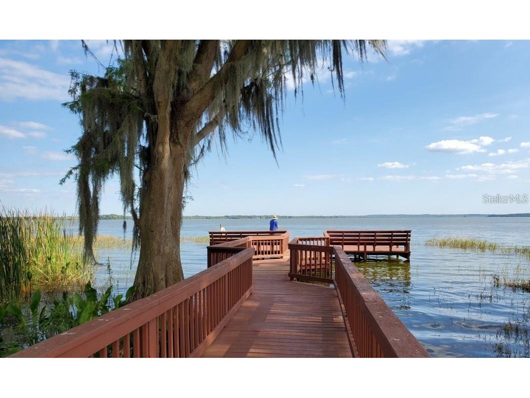 5964 Brittania Boulevard Tavares FL 32778 - LITTLE LAKE HARRIS G5107482 image16