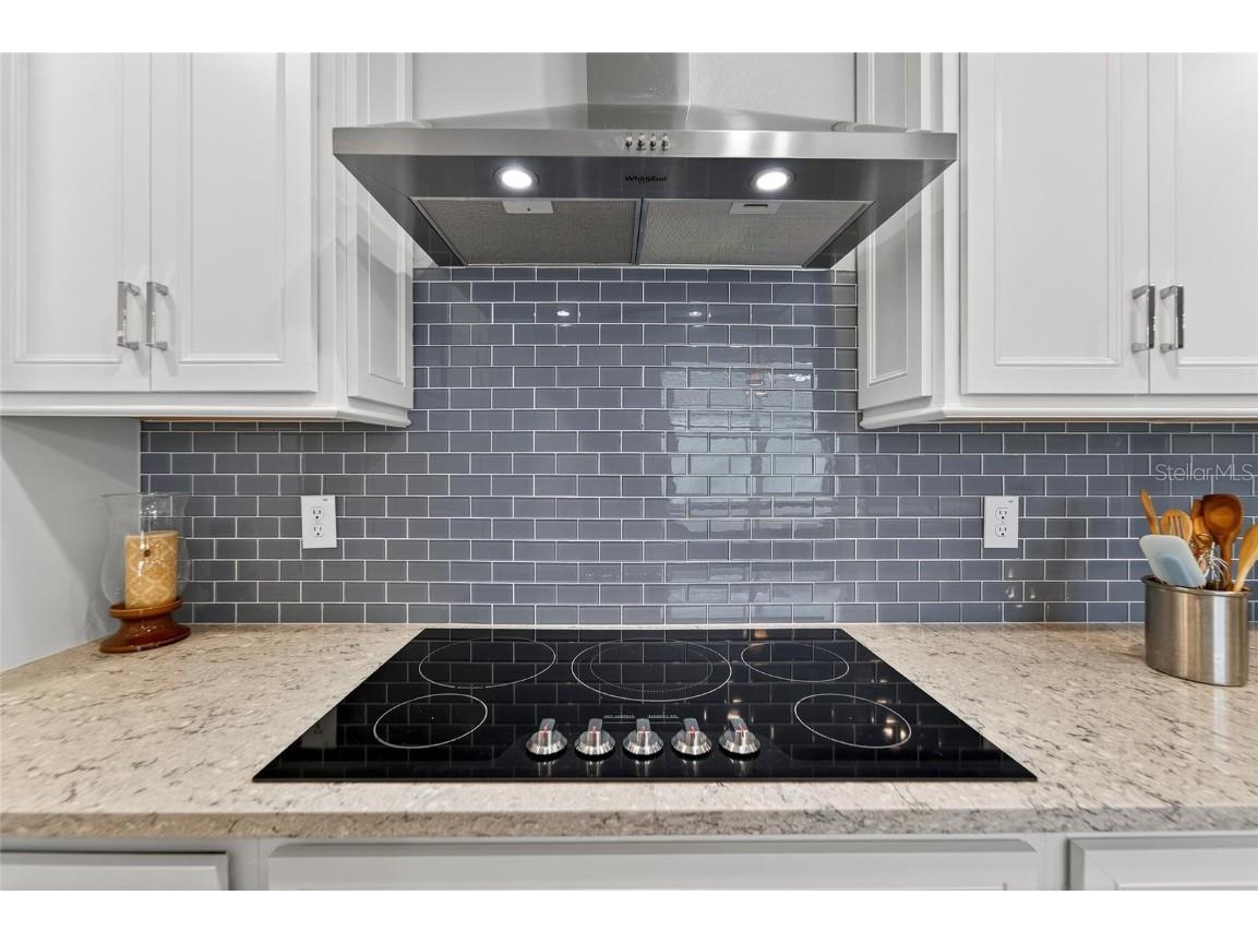 5965 Shorebird Branch Land O Lakes FL 34638 S5125028 image10