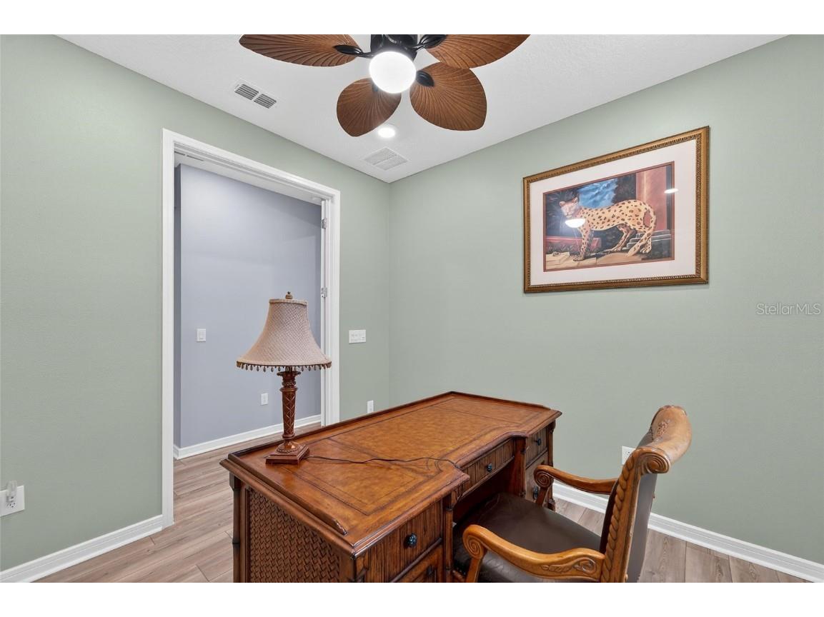 5965 Shorebird Branch Land O Lakes FL 34638 S5125028 image28