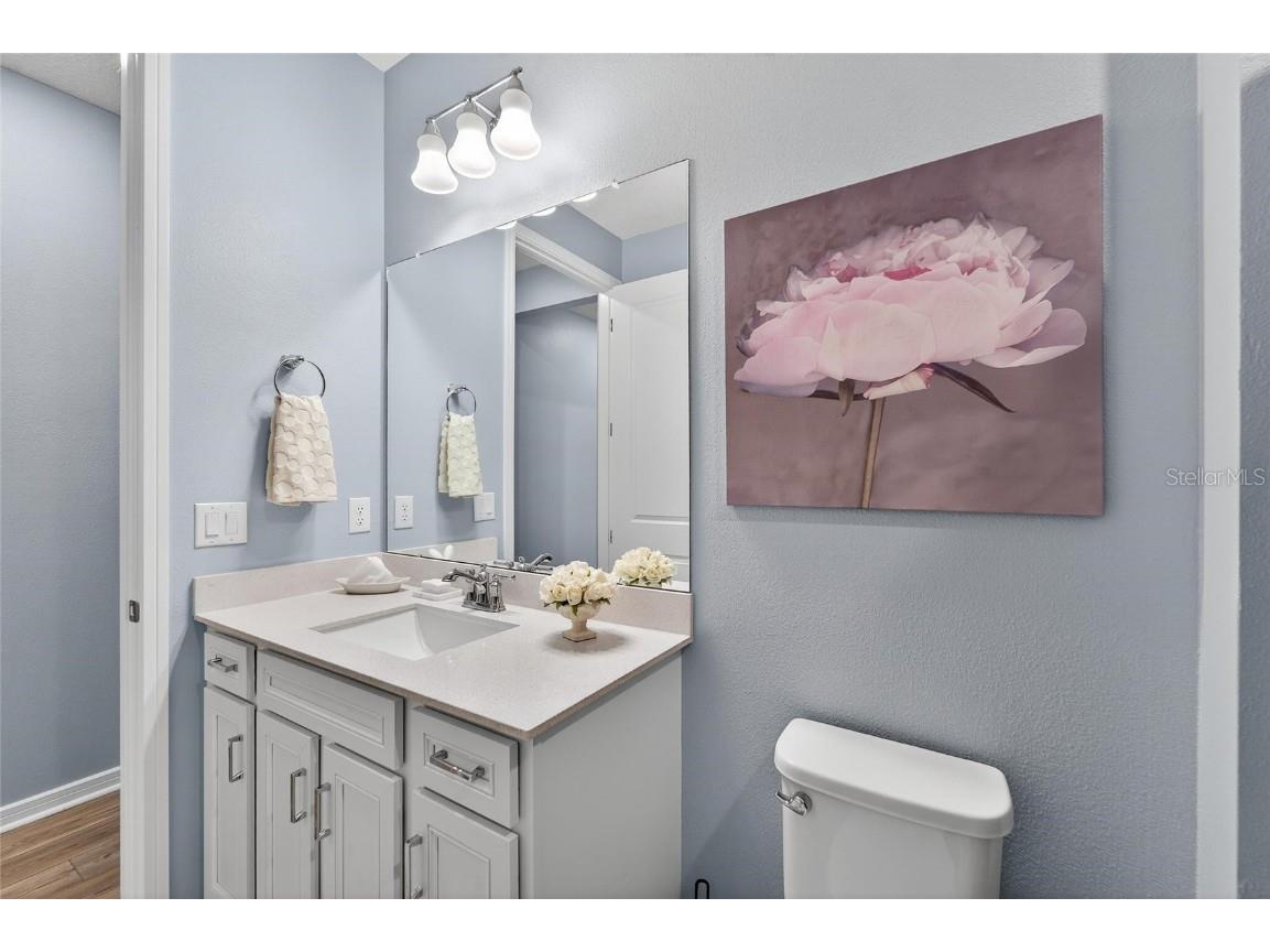 5965 Shorebird Branch Land O Lakes FL 34638 S5125028 image33