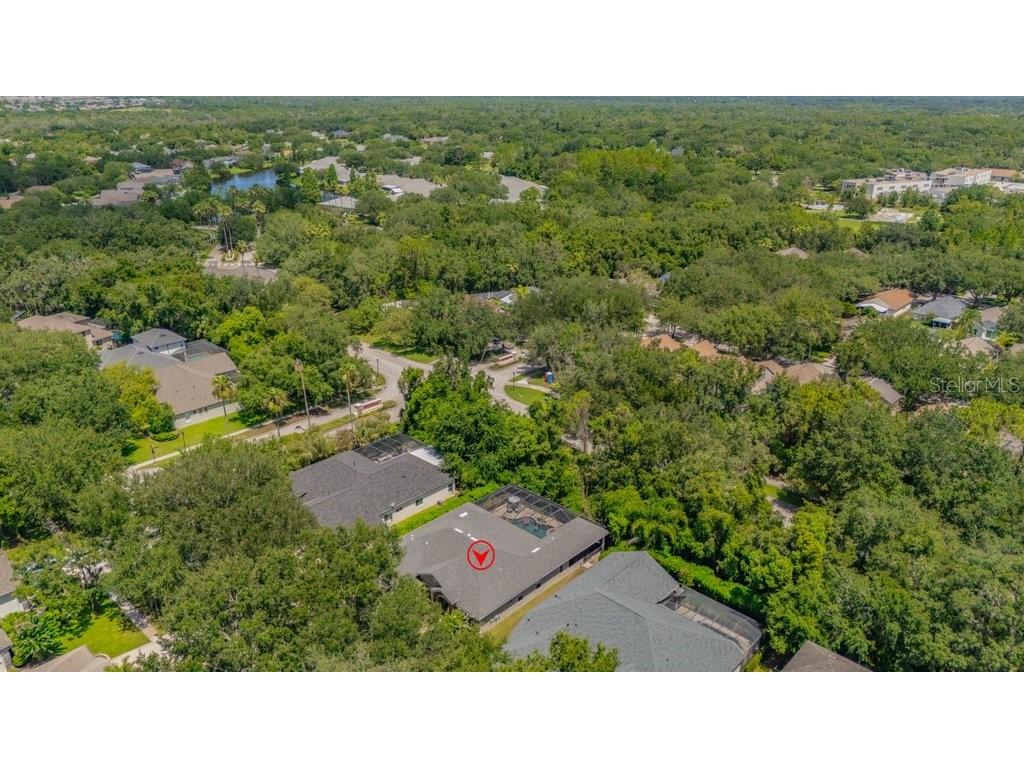 5967 Jaegerglen Drive Lithia FL 33547 TB8529029 image49