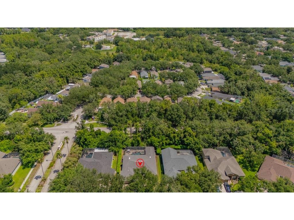 5967 Jaegerglen Drive Lithia FL 33547 TB8529029 image50