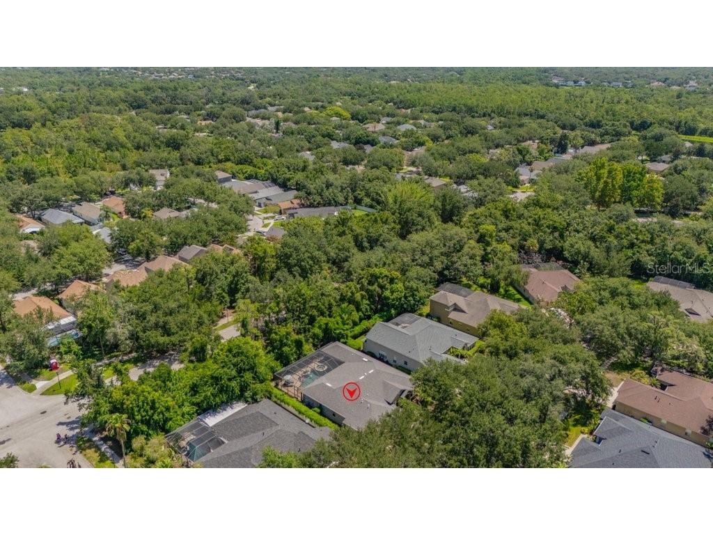 5967 Jaegerglen Drive Lithia FL 33547 TB8529029 image51
