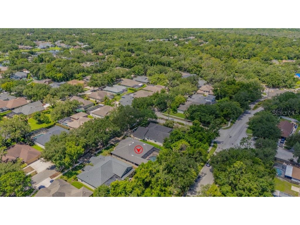 5967 Jaegerglen Drive Lithia FL 33547 TB8529029 image55
