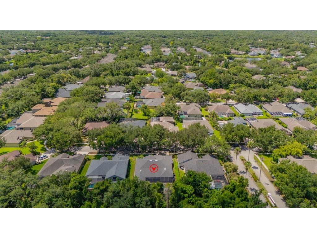 5967 Jaegerglen Drive Lithia FL 33547 TB8529029 image56
