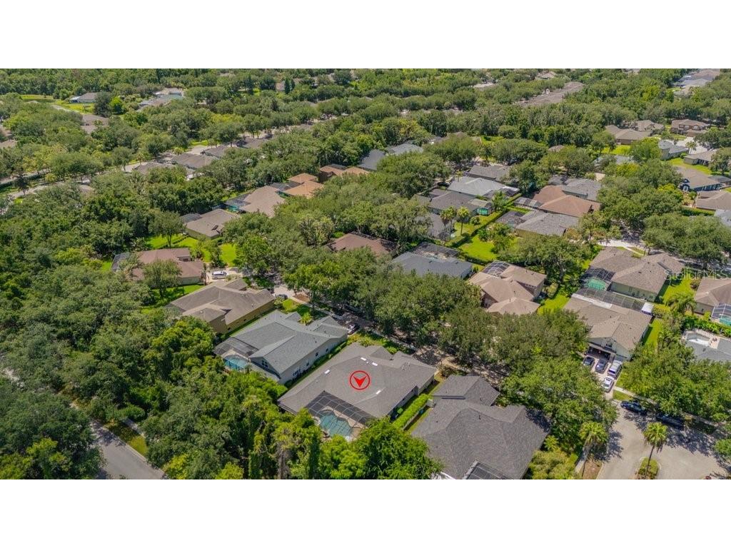 5967 Jaegerglen Drive Lithia FL 33547 TB8529029 image57