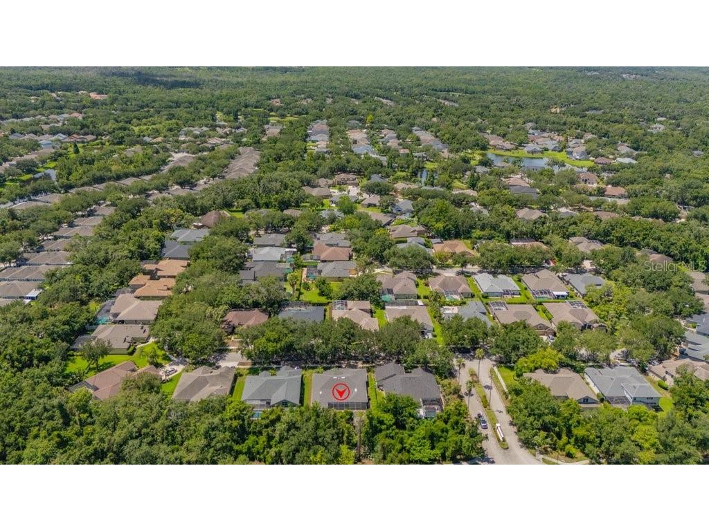 5967 Jaegerglen Drive Lithia FL 33547 TB8529029 image58