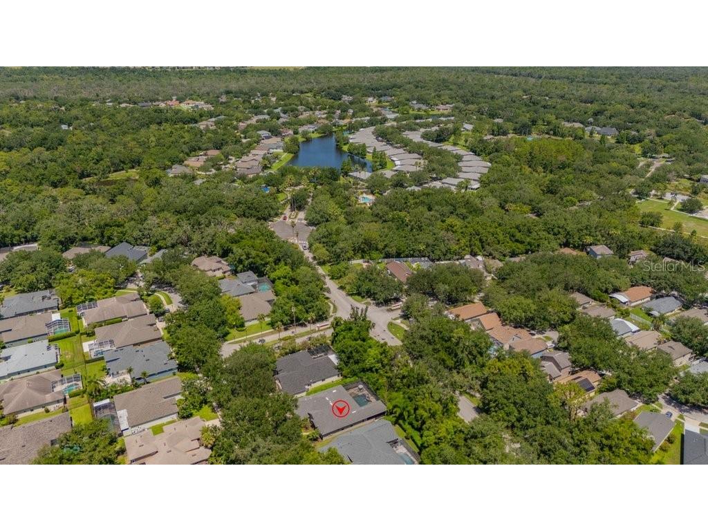 5967 Jaegerglen Drive Lithia FL 33547 TB8529029 image59