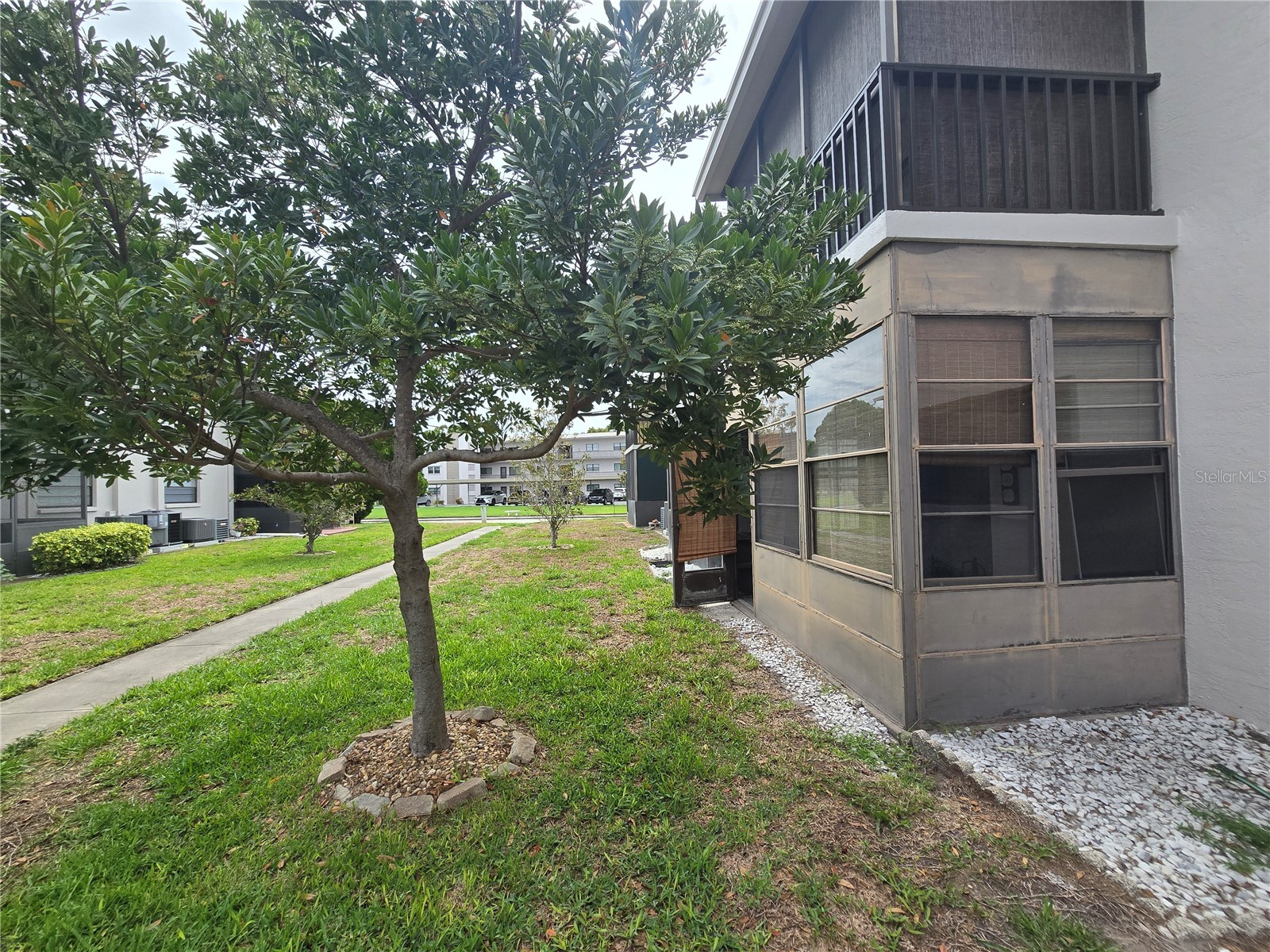 5967 Terrace Park Drive N #103 Saint Petersburg FL 33709 TB8513356 image39