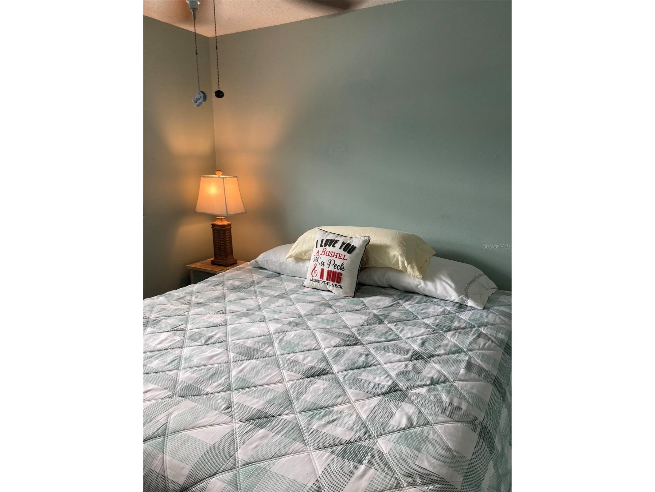 5967 Terrace Park Drive N #206 Saint Petersburg FL 33709 TB8501639 image30