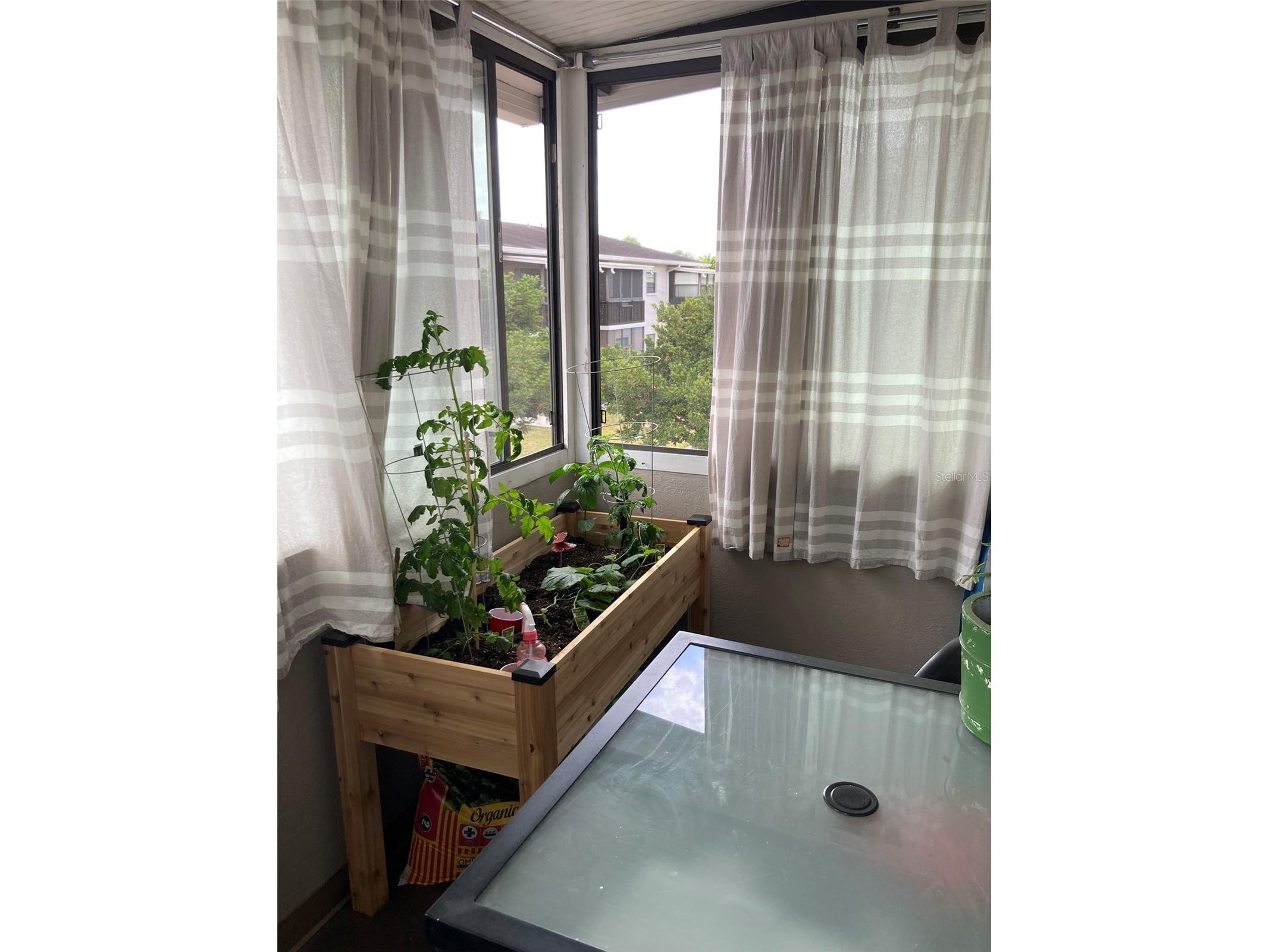 5967 Terrace Park Drive N #206 Saint Petersburg FL 33709 TB8501639 image37