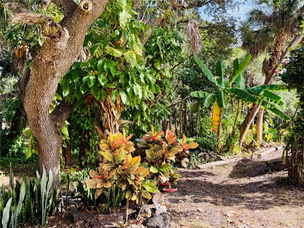 5968 Taneytown Street North Port FL 34291 N6141747 image14