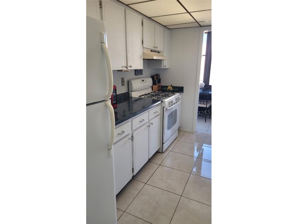 5969 Terrace Park Drive N #305 Saint Petersburg FL 33709 TB8446168 image7