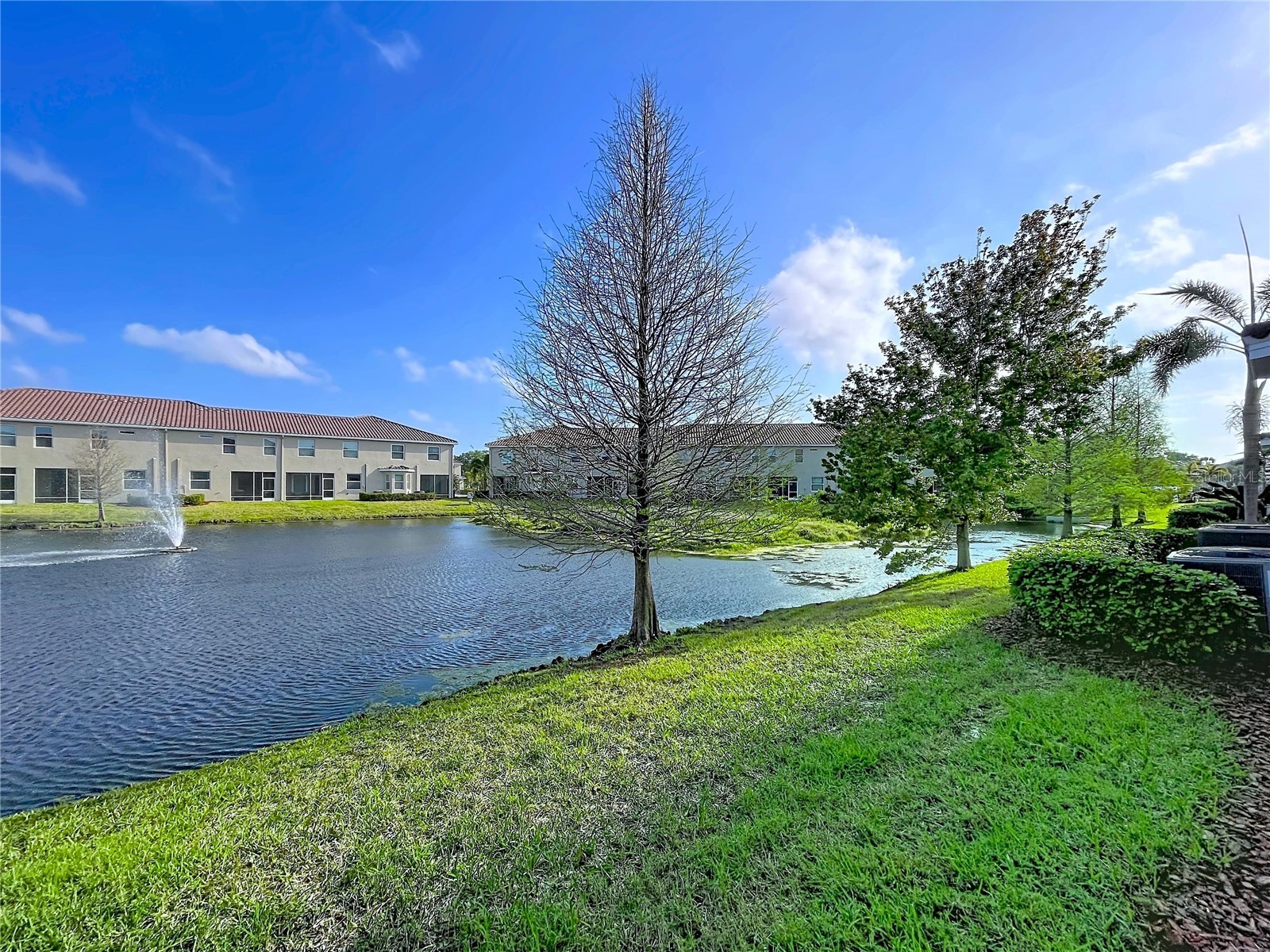 597 52nd Terrace N Saint Petersburg FL 33703 TB8492733 image35