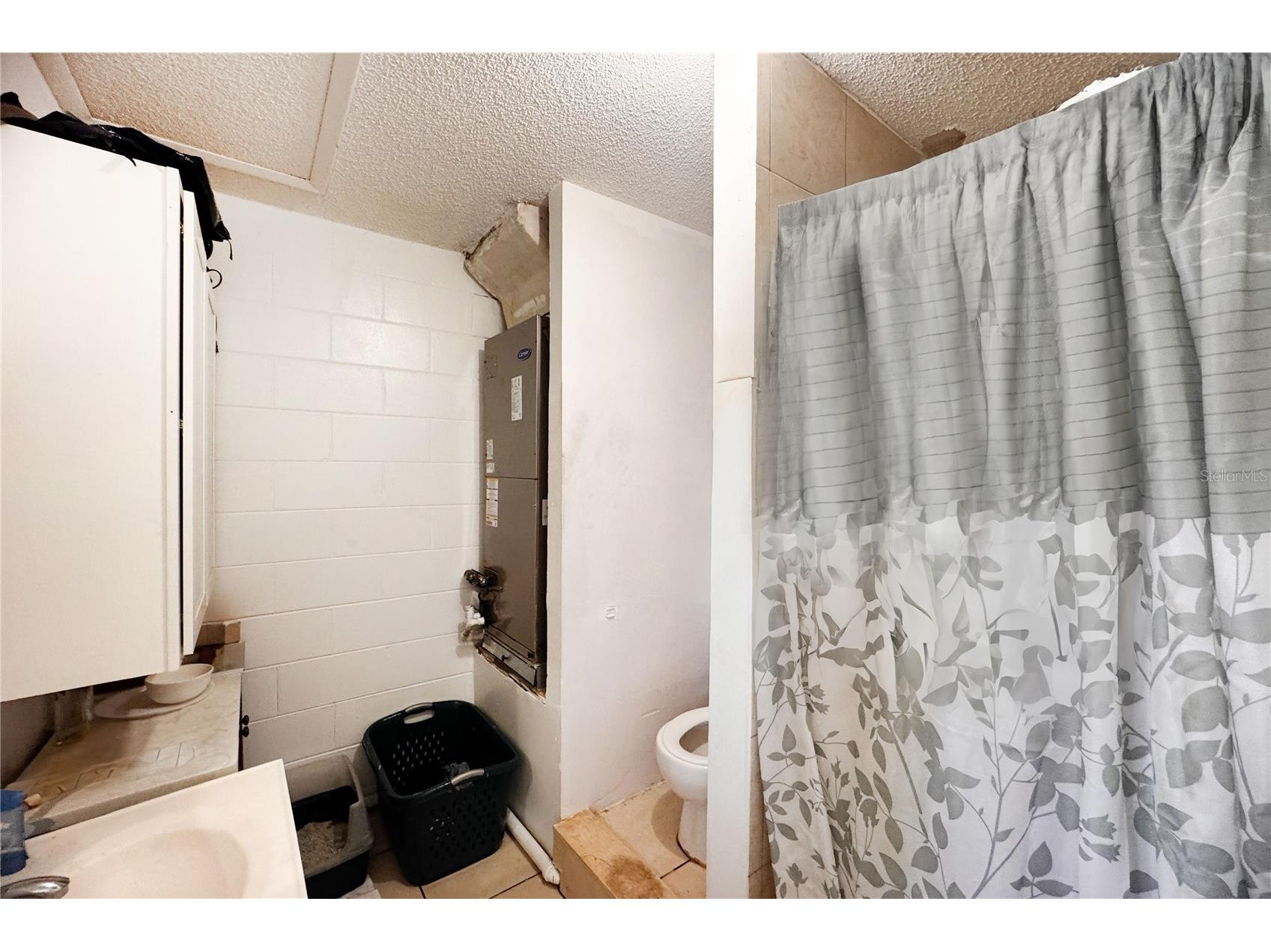 597 Bablonica Drive Orlando FL 32807 O6396874 image17